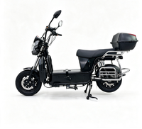 Vélo Électrique Urbain Double Siège pour Adultes de Haute Qualité – Vélo Électrique de Commutation pour 2 Personnes – Offre Spéciale