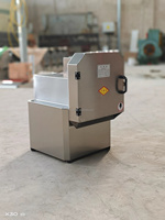 Industriële citroensnijmachine voor 200 kg/uur / fruit- en groentesnijmachine voor citroenen