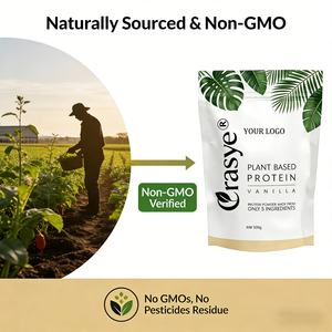 Poudre de protéines végétales naturelles en gros OEM/ODM, 5 ingrédients : pois, courge, chia, végétalien, sans OGM, sans gluten - Product Image 6