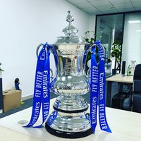 Famoso Trofeo Personalizado de la FA Cup de Fútbol, El Mejor Trofeo de Gran Tamaño en 18cm, 32cm, 44cm y 60cm
