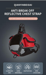 Kalung Anjing Dipertebal Hewan Peliharaan Tahan Air Baru Laris Tali Kekang Hewan Peliharaan Anjing Seks Wanita Terbaik dengan Tas Samping - Product Image 6