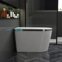 Toilettes Japonaises Intelligentes Haut de Gamme Auto-Nettoyantes Automatiques Avec Couvercle à Détection Intelligente et Télécommande
