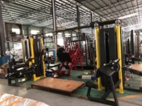 Machine de musculation multi-stations commerciale, multi-gym, cinq postes, personnalisation jungle, équipement complet de salle de sport