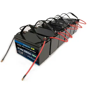 Deep Cycle Bateria Litio Lifepo4 Battery 12 V Solar Lithium-batterie 12V 100Ah Lithium Battery
