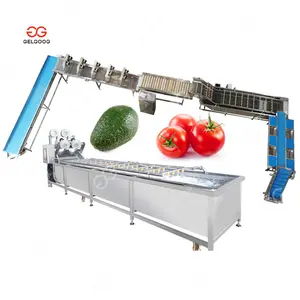 Industrial Tomato Fruit Vegetables Sorting Grading Drying Avocado Washing and Waxing Machine