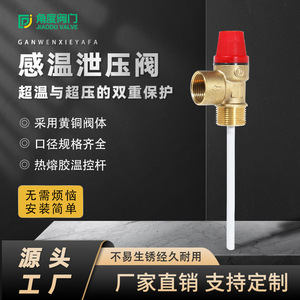 Soupape de sécurité DN20 filetée avec capteur de température pour systèmes d'eau - Product Image 5