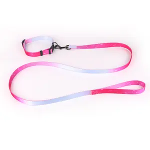 Fancy direct sale colorful designer arnes para perros polyester custom rainbow cat dog collar and leash