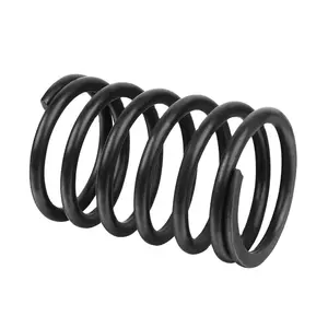 Professional Custom Large 304 316 Stainless Steel Compression Spring For Motorcycle