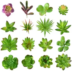 16 قطعة نباتات زهور عصارية اصطناعية مختلطة ديكور غير مرقط ينبع نباتات عصارية اصطناعية مجموعة متنوعة من اللقطات للمنزل