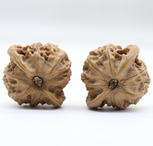 Vente en gros de produits artisanaux naturels très demandés : Fidgets, objets de collection, jouets à frotter, noix de Wenwan Niche Tutu à grandes oreilles - Product Image 4