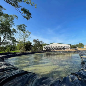 Kháng UV Tùy Chỉnh Màng Đất 2Mm HDPE Dễ Dàng Vận Chuyển Ao Lót Không Thấm Nước Geomembranas Cho Bể Cá Đập Lót - Product Image 4