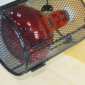 Bombillas LED Infrarrojas para Sauna, Curación de Heridas, Tratamientos para el Crecimiento del Cabello, Máquina de Alivio del Dolor, Luz Roja de Sauna de Madera para Habitación - Product Image 6