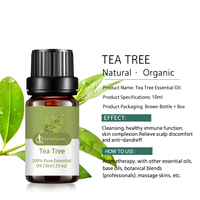 Huile Essentielle 100% Pure et Biologique de Feuilles d'Eucalyptus, Parfum Terrestre, Croissance des Cheveux, Bien-être, Rajeunissement, Aromathérapie, Purifie l'Air