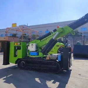 Mini chariot élévateur de grue de chenille de 25 tonnes avec la flèche de grue