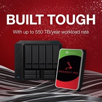 IronWolf Pro 12 TB Disque Dur Mécanique NAS d'Entreprise CMR 3,5 Pouces SATA 6 Gb/s 7 200 tr/min 256 Mo de Cache ST12000NT001