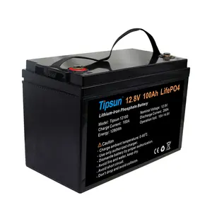 Tipsun LiFePO4 12v 100ah 배터리 팩 리튬 이온 배터리 12.8V100Ah (RV/태양광 시스템 용 파란색 이빨 포함)