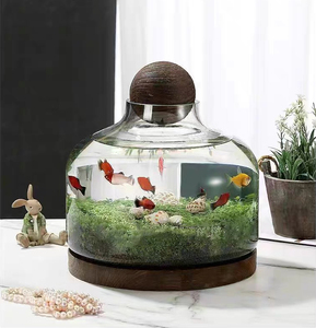 Grand <span class=keywords><strong>bocal</strong></span> rond en verre pour <span class=keywords><strong>terrarium</strong></span> avec couvercle en forme de boule en bois et base en bois pour plantes, écosystème, décoration d'intérieur, jardin, bricolage, artisanat - Product Image 6