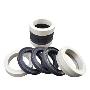 Stem Packing And Pressure Balance Seal Uses PTFE Spring Energized Lip Seals With PEEK Bearings