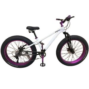 Bicicleta de Montaña para Adultos con Neumáticos Anchos, 10 Velocidades, Frenos de Disco Dobles y Amortiguación, Ideal para Playa y Nieve, Directo de Fábrica - Product Image 5