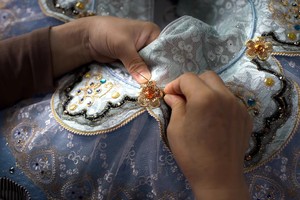 Trẻ em chuyên nghiệp của <span class=keywords><strong>Ballet</strong></span> tutu chim màu xanh biến thể cho cuộc thi khiêu vũ và trang phục biểu diễn sân khấu - Product Image 6