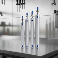 Cylindre d'extraction à double action en alliage d'aluminium moulé sous pression pour manipulateur de machine de moulage par injection