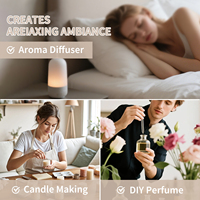 Diffuseur d'Huiles Essentielles Bio pour Hôtel, Lot de 14 x 5 ml, Huile Parfumée, Huile Aromatique, Fraîche, Écologique, 100% Pure, Distillée à la Vapeur, Multi-usages