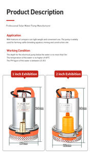 Bomba <span class=keywords><strong>de</strong></span> achique marina ZQB-12V-2 12V 24V 220V 40L/min <span class=keywords><strong>de</strong></span> alta elevación autocebante DC <span class=keywords><strong>solar</strong></span> para embarcaciones - Product Image 2