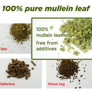 Chinaherbs 100% naturel à base de plantes 1,5g*20 sachets Thé de feuilles de molène pour soutenir le système immunitaire Thé mélangé pour hommes et femmes - Product Image 6