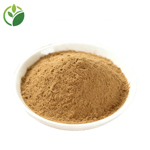 Fabriklieferung Großhandel Hochwertiger <span class=keywords><strong>Ginkgo</strong></span> <span class=keywords><strong>Biloba</strong></span> Extrakt 24% Flavone <span class=keywords><strong>Ginkgo</strong></span> <span class=keywords><strong>Biloba</strong></span> Blattextrakt Pulver <span class=keywords><strong>Ginkgo</strong></span> Blattextrakt - Product Image 3