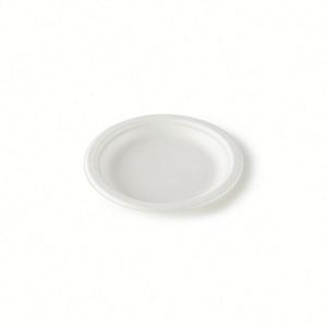 Barquettes alimentaires jetables compostables en bagasse de canne à sucre, plateaux à viande biodégradables, assiettes blanches 9''/10''/12'' avec logo personnalisé - Product Image 2