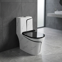 Toilette monobloc moderne en céramique avec lignes décoratives noires-Piège S/P, fabriqué en Chine, articles sanitaires de salle de bain WC