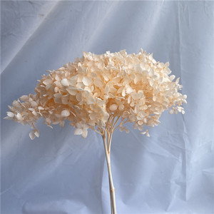 Rama Larga de Flor de Hortensia <span class=keywords><strong>Anna</strong></span> Preservada, Decorativa, Individual, para Decoración del Hogar, Bodas, Festivales, Eventos y Escenarios - Product Image 5