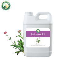 Huile Essentielle de Spikenard (Nardostachys Jatamansi) 100% Pure Distillée à la Vapeur Vente en Gros Aromathérapie Cosmétiques Parfum OEM