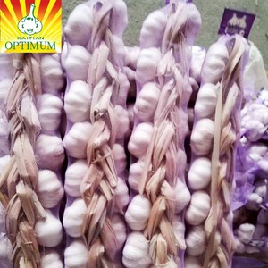 Fornitore all'ingrosso di aglio fresco nuovo, aglio bianco normale, aglio in sacchi e scatole, aglio G1, produttore di aglio viola di buona qualità Jinxang - Product Image 3