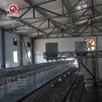 Batterie de volaille couche cage de poulet poules pondeuses hangar équipement d'élevage en acier pour l'élevage de poulets de chair poussins système de cage