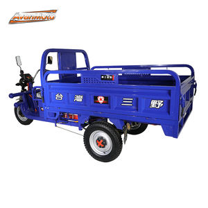 최고의 가치 500kg 용량 60KM 1000W 전기 화물 세발 자전거 사용자 정의 색상 지원 DR 콩고 사용자 정의 공급 업체 - Product Image 3