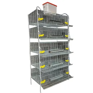 H type 5 tires automatic quail breeding 300 quails cage for sale