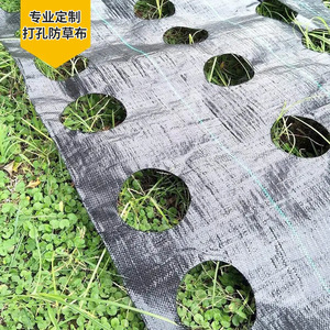 Perforated Black Weed Control Fabric 1000 Breathable Agricultural Orchard Use - Product Image 5