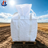 Sac Jumbo en PP FIBC sur Mesure avec Logo Imprimé, Capacité 500kg-2000kg, Fabrication OEM ODM, Sac de Transport en Gros pour Poudre Chimique