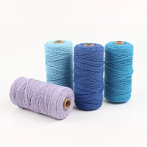 Cotton Yarn Hot Sell 2mm 3mm 4mm Macrame Cord Twines Cotton Rope Braided Cotton Cord Polyester Macrame Cord