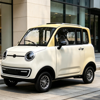 Mini voiture électrique tout-terrain, véhicule utilitaire électrique à 4 roues, SUV électrique compact, petit véhicule électrique tout-terrain