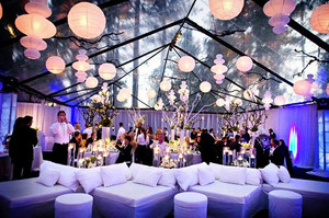 Carpas para Bodas de la Marca Meile en Oferta, con Carpa Transparente o Blanca y Forro Blanco, Modelo ML-0515 - Product Image 4