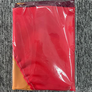 ธงสีรุ้งแบบด้านเดียว25*116นิ้วธง <span class=keywords><strong>lgtb</strong></span> แบบกันน้ำธงขนนกสำหรับชายหาดแบนเนอร์ลมลอยได้ - Product Image 2