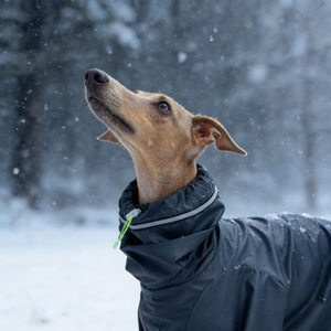 Vêtements <span class=keywords><strong>pour</strong></span> chien Greyhound, imperméables, réfléchissants, 4 pattes, veste à capuche réglable <span class=keywords><strong>pour</strong></span> animaux <span class=keywords><strong>de</strong></span> compagnie, <span class=keywords><strong>manteau</strong></span> <span class=keywords><strong>pour</strong></span> <span class=keywords><strong>Whippet</strong></span>, chiens <span class=keywords><strong>de</strong></span> taille moyenne et grande, imperméable - Product Image 3