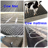 Vente chaude Équipement d'élevage Tapis en caoutchouc agricole pour vaches / chevaux / porcs / bétail / écurie / stal / box