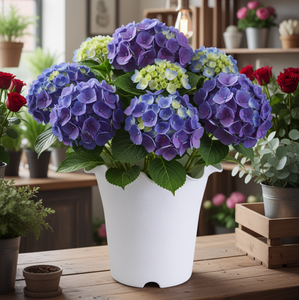 Pot de fleurs en plastique à bord festonné, moderne et minimaliste, pour plantes succulentes, jardin, intérieur, extérieur, vente en gros - Product Image 6