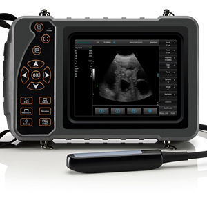Équipement médical imperméable pour animaux, écran portable de 5,6 pouces, appareil d'échographie vétérinaire pour porcs et moutons - Product Image 1