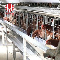 Cage à poulets de chair de type H, cage automatique à 4 niveaux avec sol en plastique, courroie de fumier, mangeoire et abreuvoir à tétine pour poulets de chair, OEM