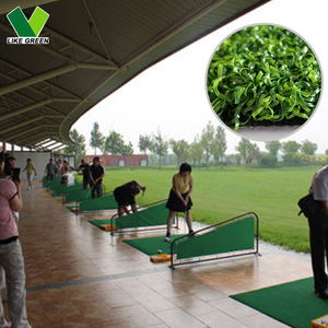 Gazon artificiel bouclé durable pour cage <span class=keywords><strong>de</strong></span> frappe, <span class=keywords><strong>tapis</strong></span> <span class=keywords><strong>de</strong></span> gazon 25 mm, mini-gazon <span class=keywords><strong>de</strong></span> putting italien - Product Image 6