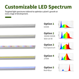 Samsung Diodes <strong>Led</strong> Grow Light Uvb 30cm 60cm 90cm 120cm 150cm <strong>Full</strong> <strong>Spectrum</strong> <strong>T5</strong> Tube Strawberry Grow Lights - Product Image 5